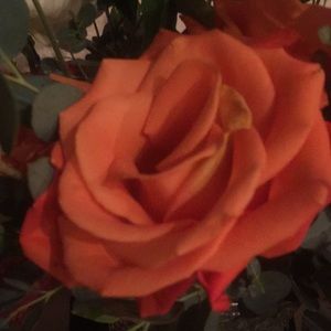 Meet your Posher, Melanie